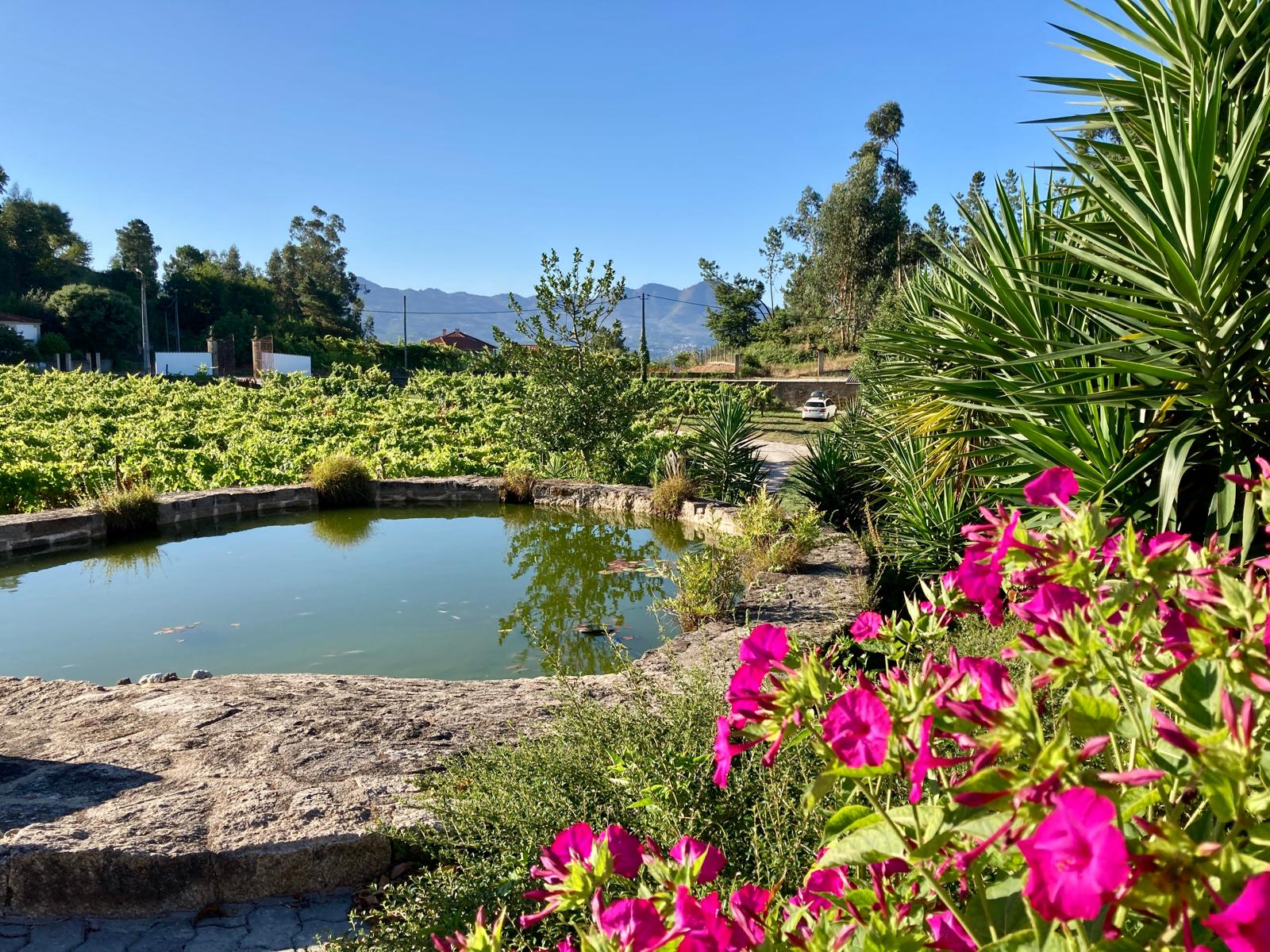 Stone pool area at Quinta da Paixão