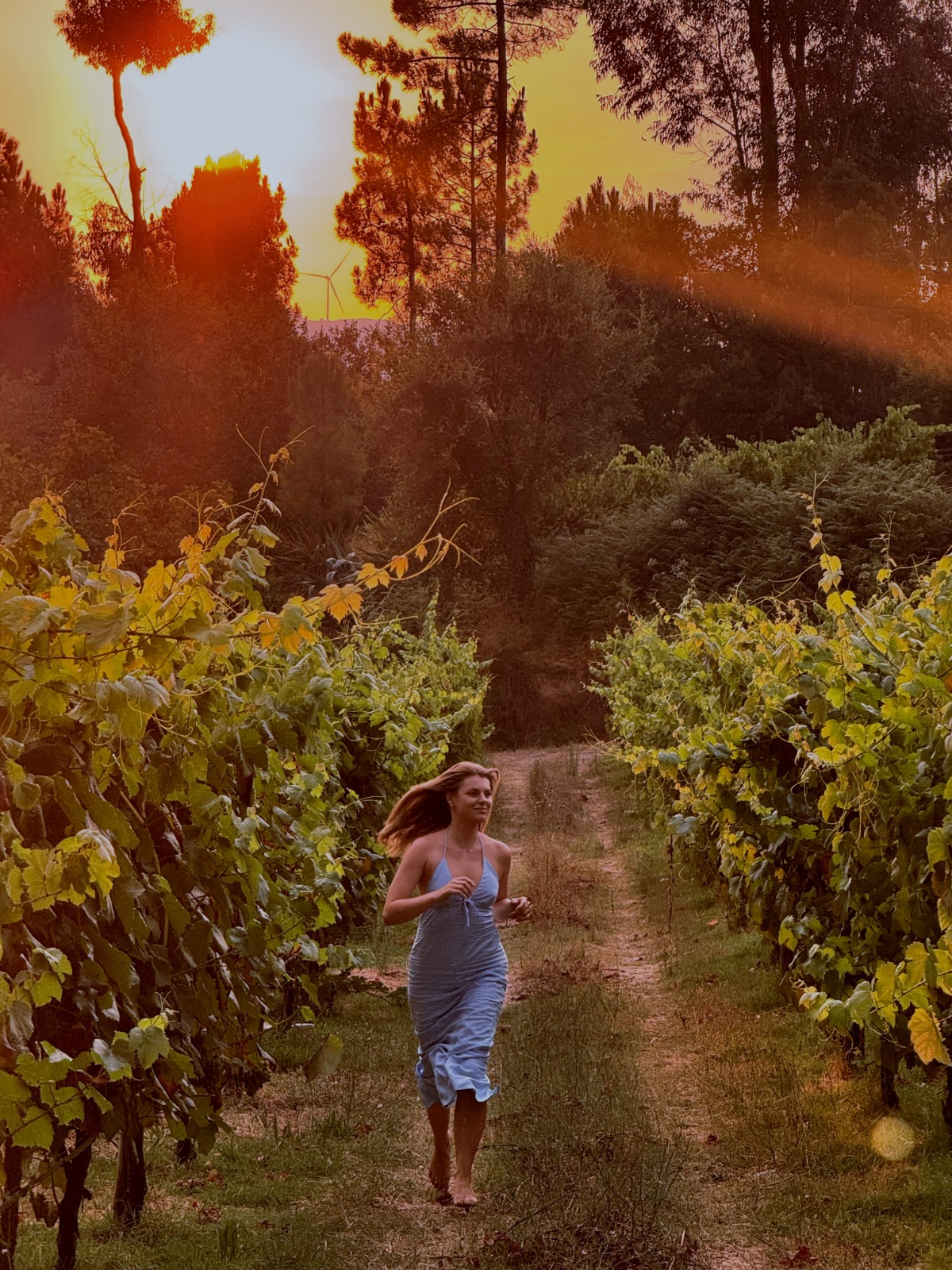 Walking through the vineyard